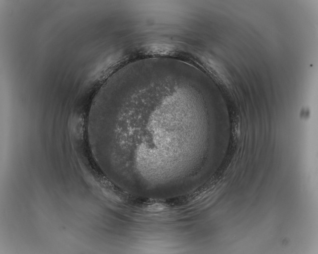 X0000090440551200707201255