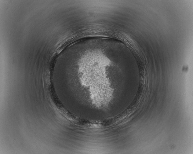 X0000090440552200707201255