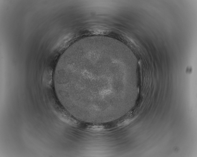 X0000090440554200707201255