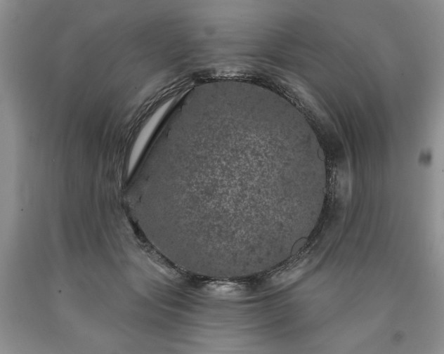 X0000090440557200707201255