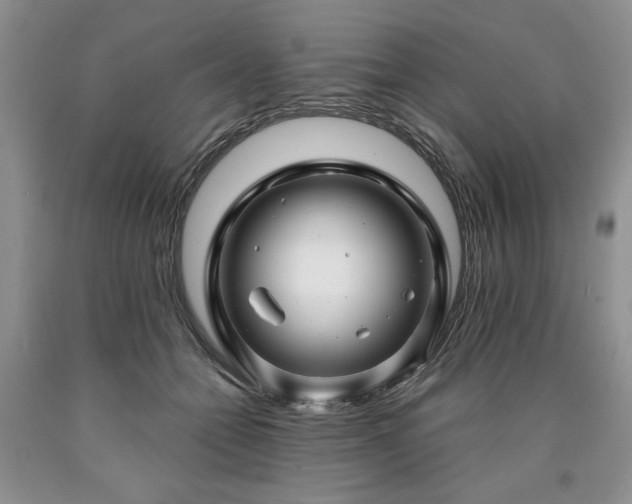 X0000090440558200707201255