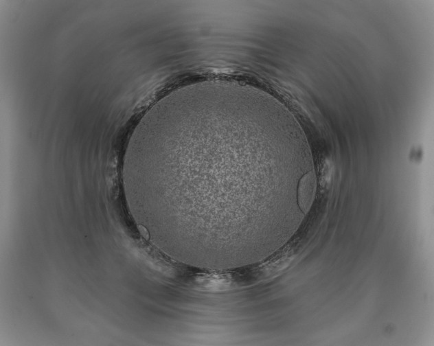 X0000090440559200707201255