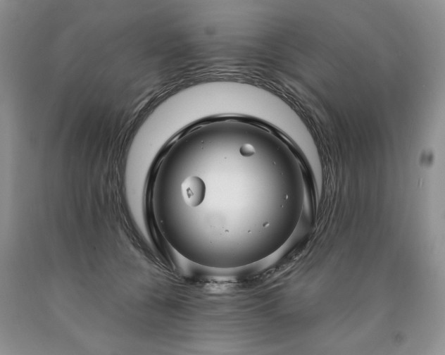 X0000090440560200707201255