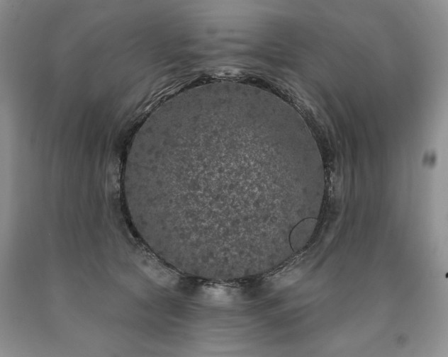 X0000090440561200707201255