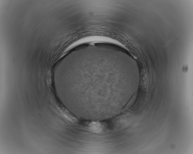 X0000090440562200707201255