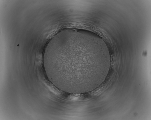 X0000090440563200707201255