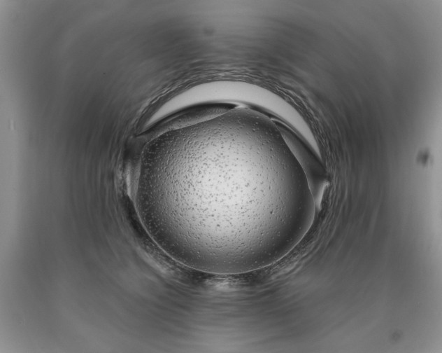 X0000090440564200707201255