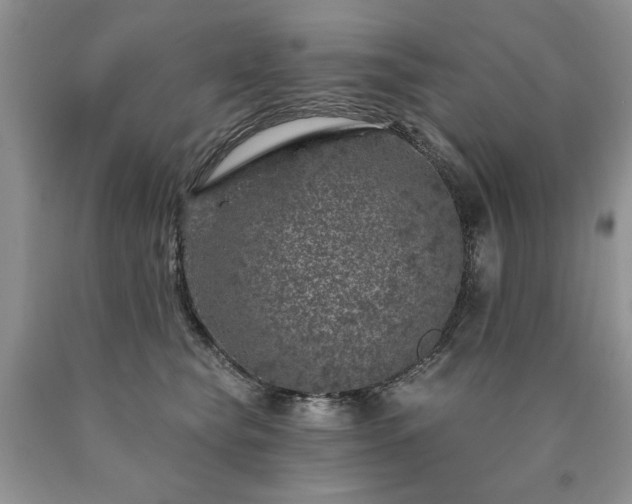 X0000090440565200707201255