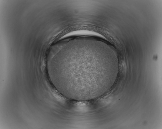 X0000090440566200707201255