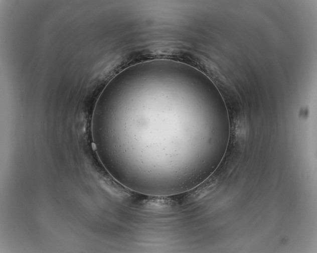 X0000090440567200707201255