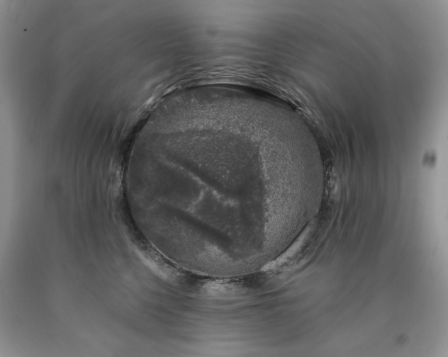 X0000090440568200707201255