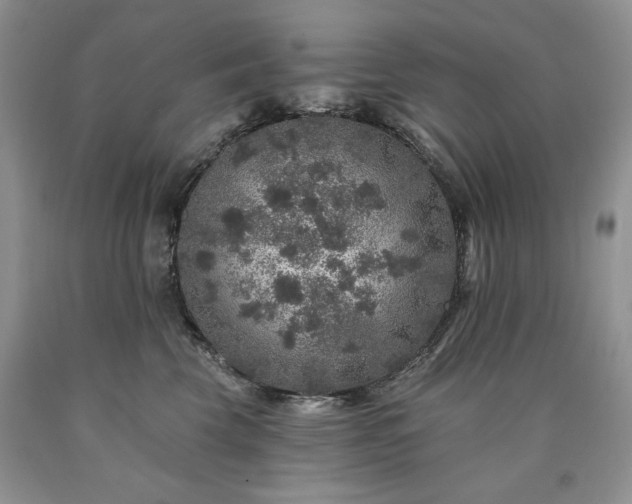 X0000090440569200707201255