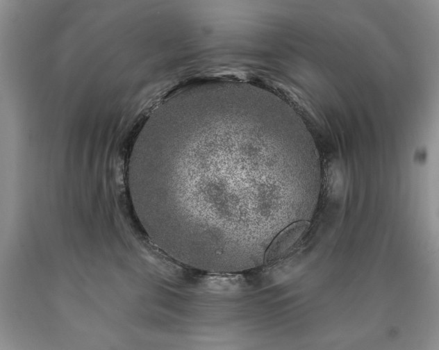 X0000090440571200707201255