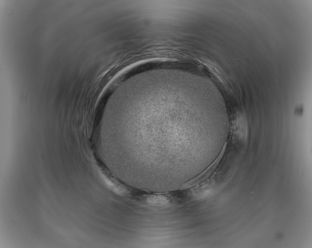 X0000090440572200707201255