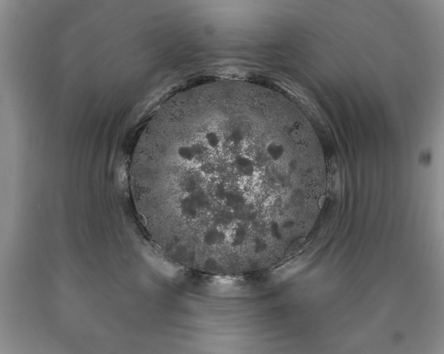 X0000090440573200707201255