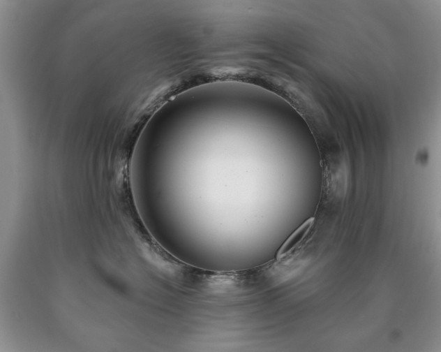 X0000090440574200707201255