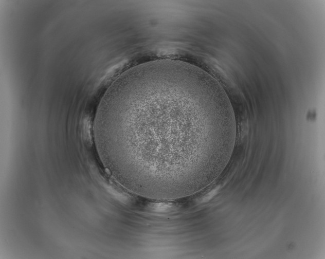 X0000090440575200707201255