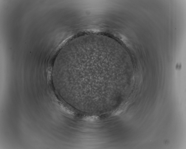 X0000090440576200707201255