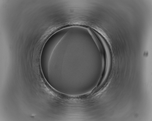 X0000090440577200707201255