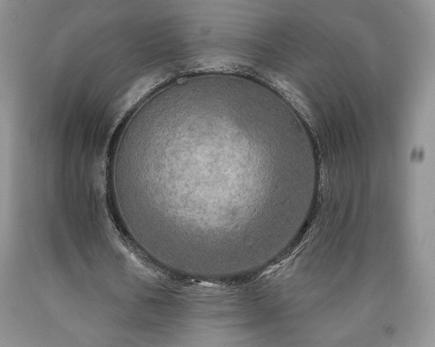 X0000090440578200707201255