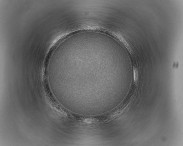 X0000090440579200707201255