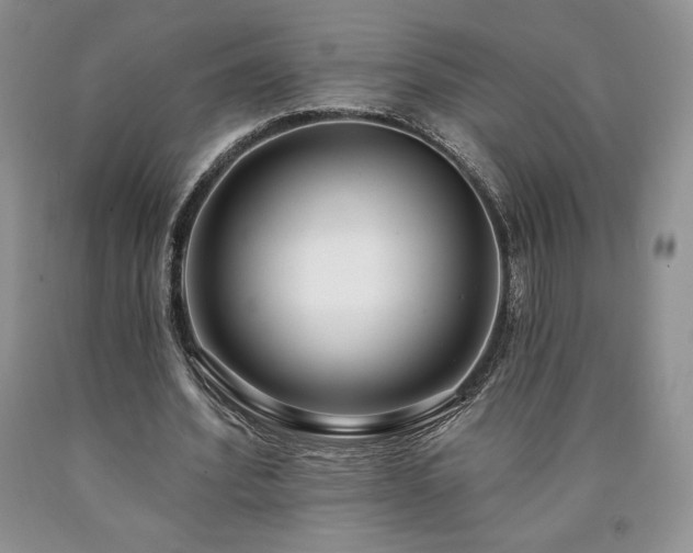 X0000090440580200707201255