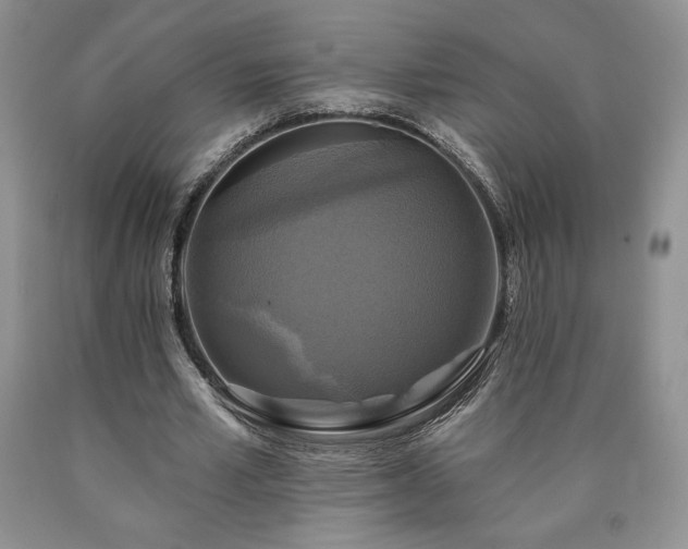 X0000090440581200707201255