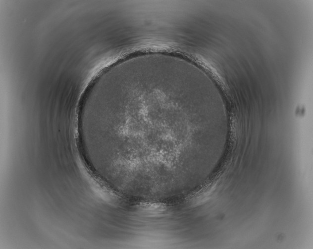 X0000090440582200707201255