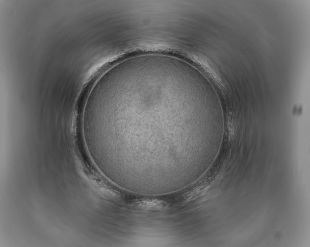 X0000090440583200707201255