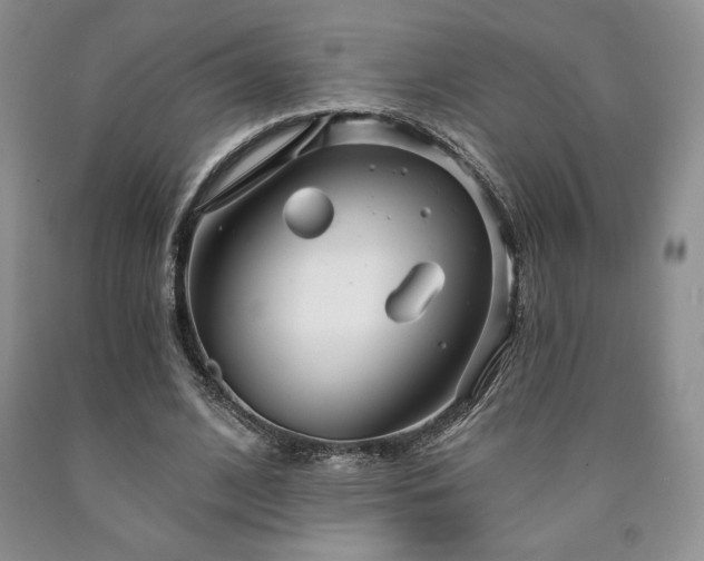 X0000090440584200707201255