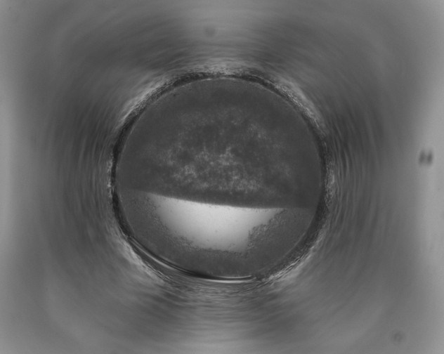 X0000090440585200707201255