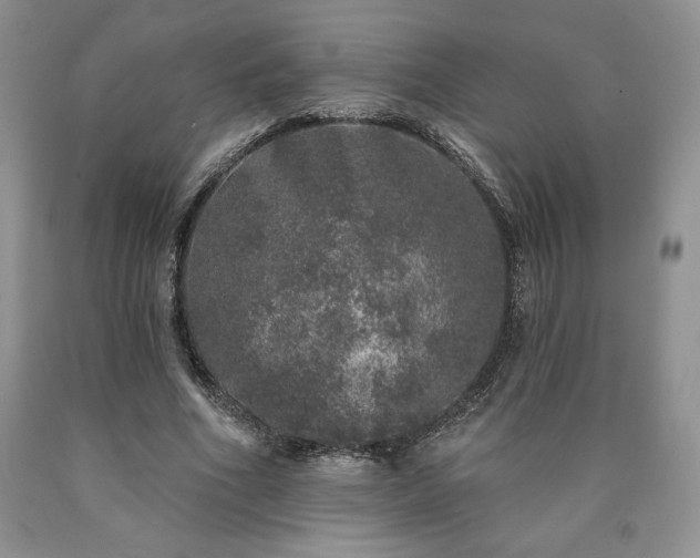 X0000090440586200707201255