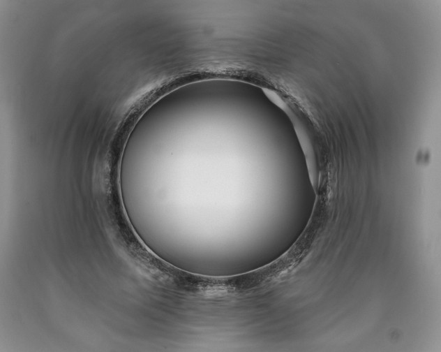 X0000090440587200707201255