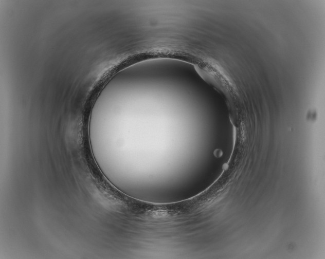 X0000090440588200707201255