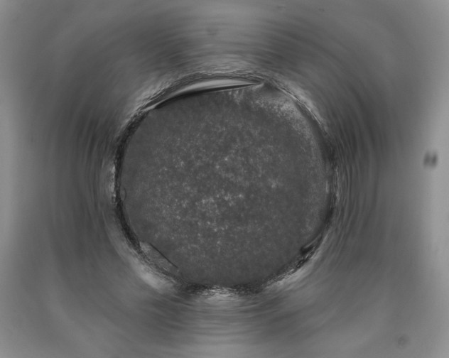 X0000090440589200707201255