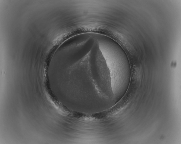 X0000090440590200707201255