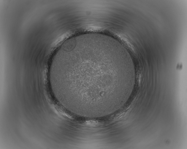 X0000090440591200707201255