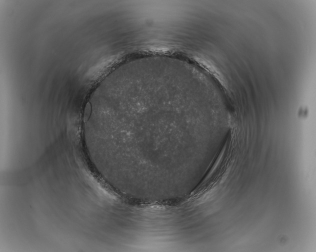 X0000090440593200707201254