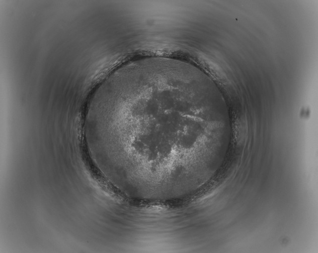 X0000090440594200707201254