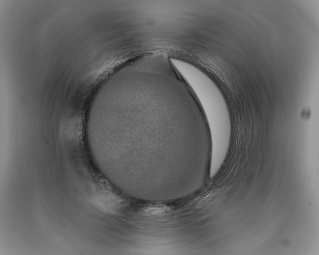 X0000090440595200707201254