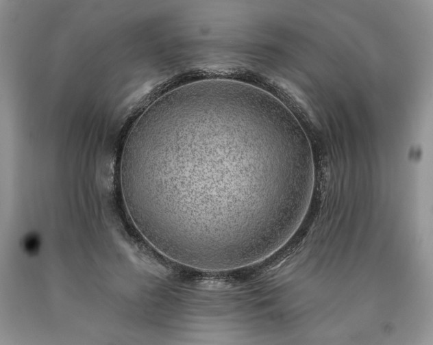 X0000090440596200707201254