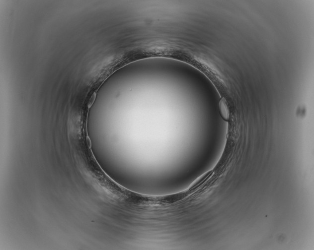 X0000090440597200707201254