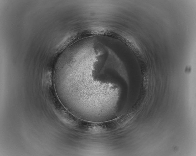 X0000090440598200707201254