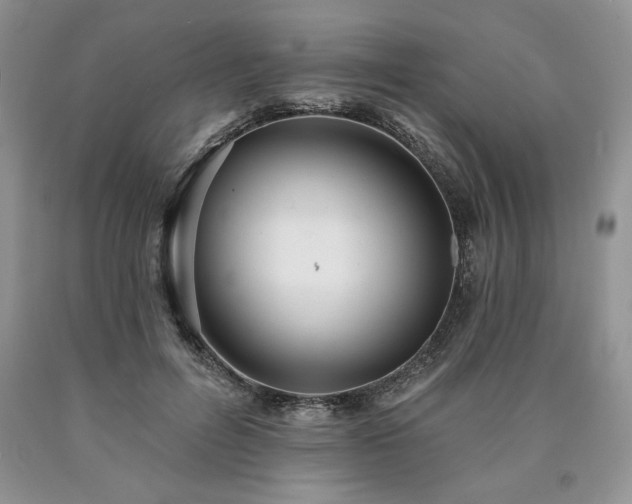 X0000090440600200707201254