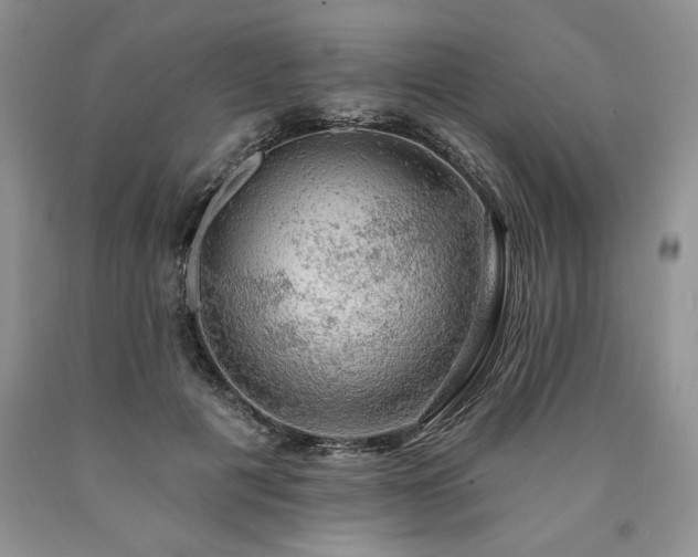 X0000090440601200707201254