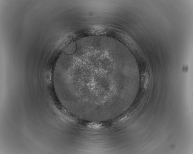 X0000090440602200707201254