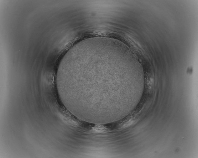 X0000090440603200707201254