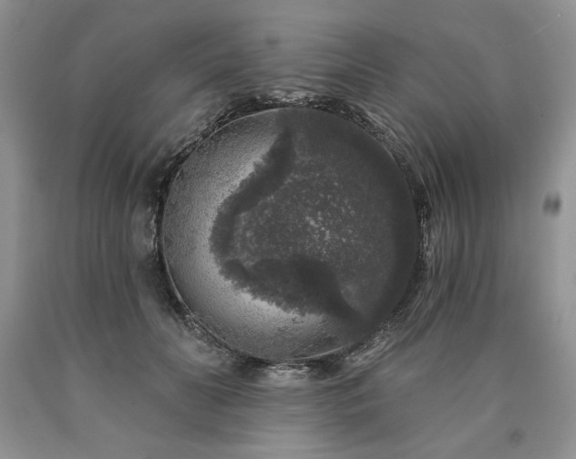 X0000090440606200707201254