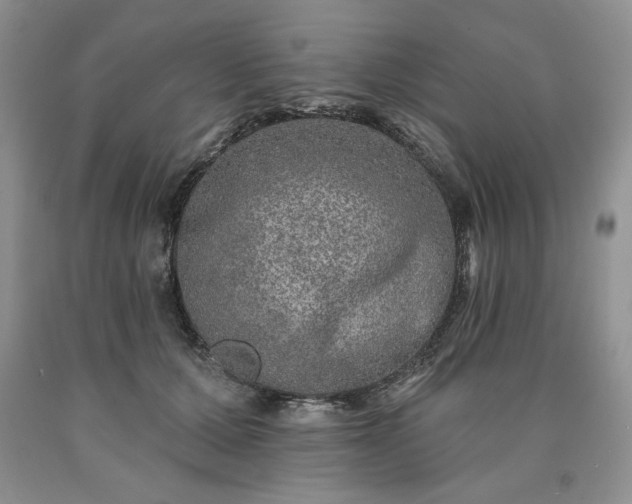 X0000090440607200707201254