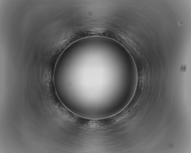 X0000090440608200707201254